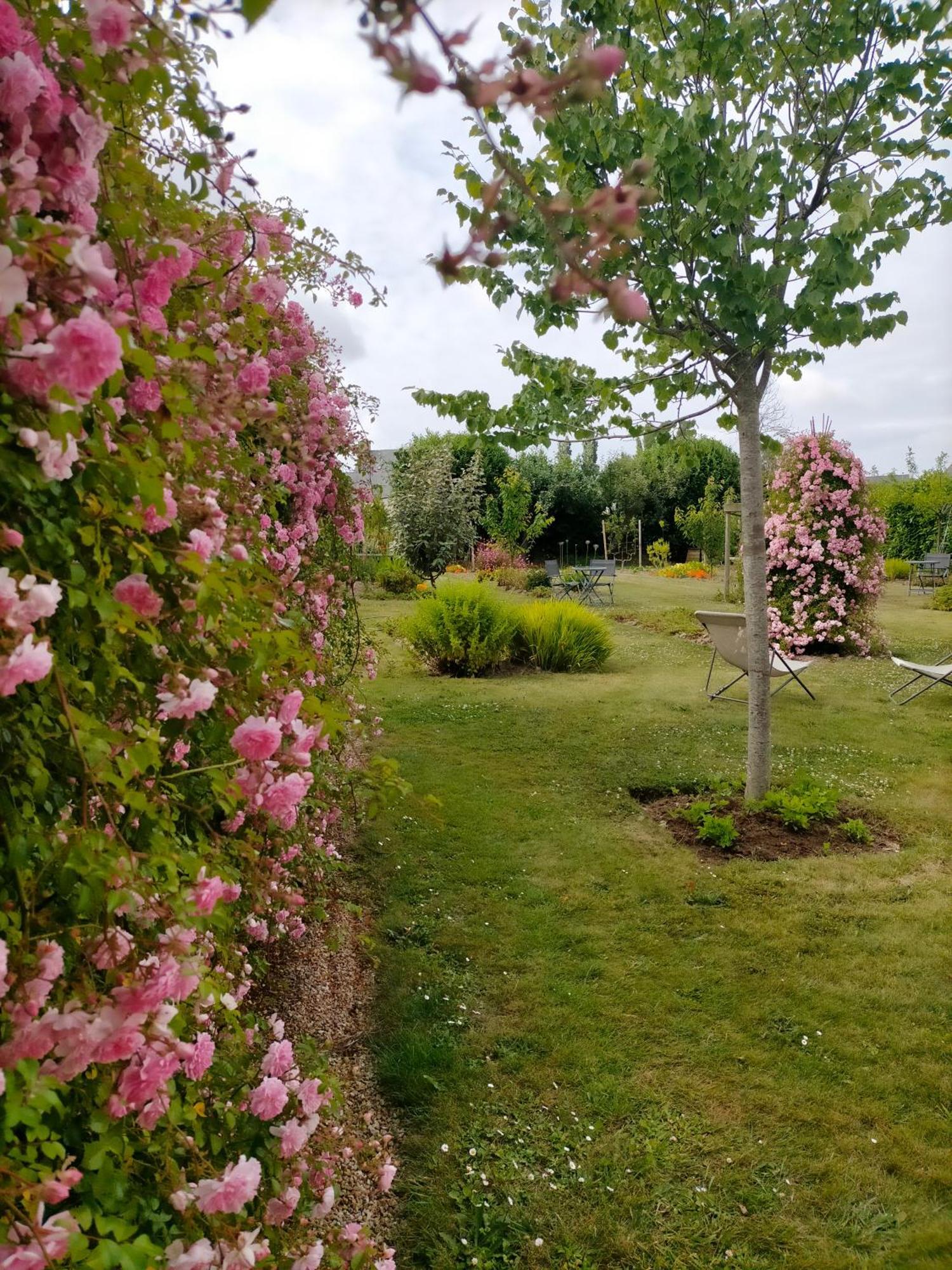 Bnb La Neo Bretonne Minihy-Tréguier Exteriér fotografie